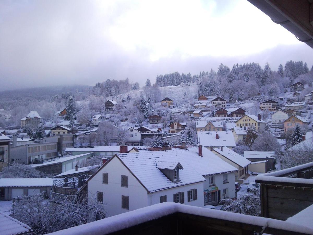 Tilleul Plaza Residence Gérardmer Екстериор снимка